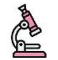collection logo